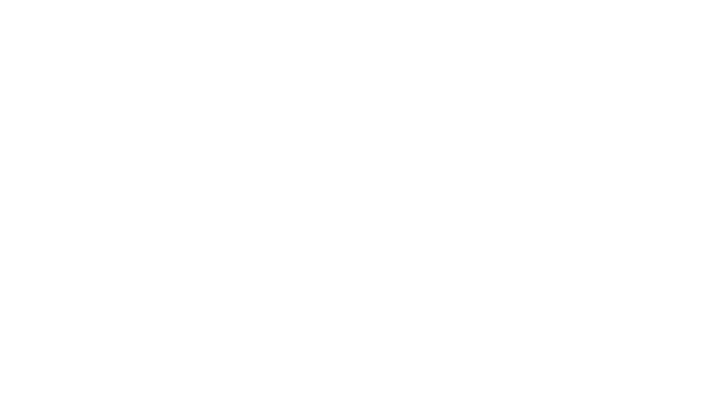 Logo: Wolsak and Wynn Publishers