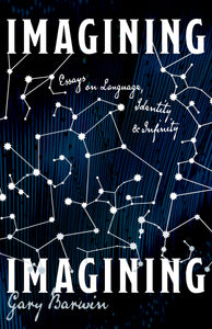 Imagining Imagining: Essays on Language, Identity and Infinity