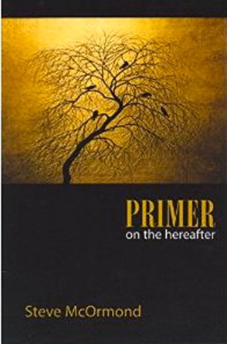 Primer on the Hereafter