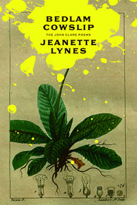 Book Cover: Bedlam Cowslip: The John Clare Poems, Jeanette Lynes