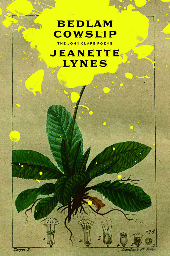 Book Cover: Bedlam Cowslip: The John Clare Poems, Jeanette Lynes