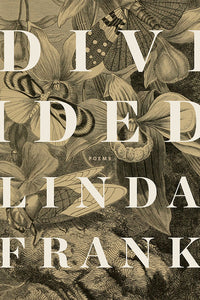 Book Cover: Divided, Linda Frank