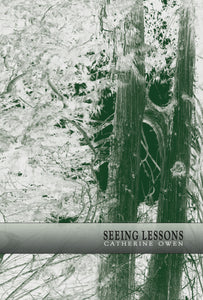 Seeing Lessons